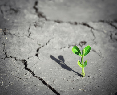 Vermec invests from its own capital.